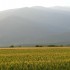 Paiakpl031