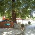 10-aravissos
