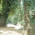 32-aravissos