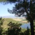 13-agrisykia-profitis-hlias