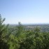 15-agrisykia-profitis-hlias