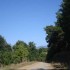 24-agrisykia-profitis-hlias