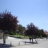 224-palia-pella