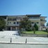 238-palia-pella