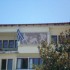 239-palia-pella