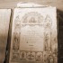 72-drosero-agios-georgios